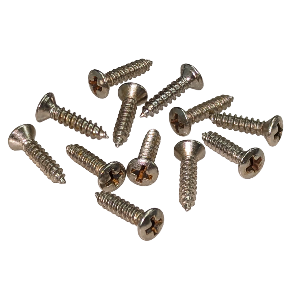 【YJB Masterworks】 ピックガード用エイジドスクリュー ニッケル ミリ 3×12mm 12本 【メール便送料無料】