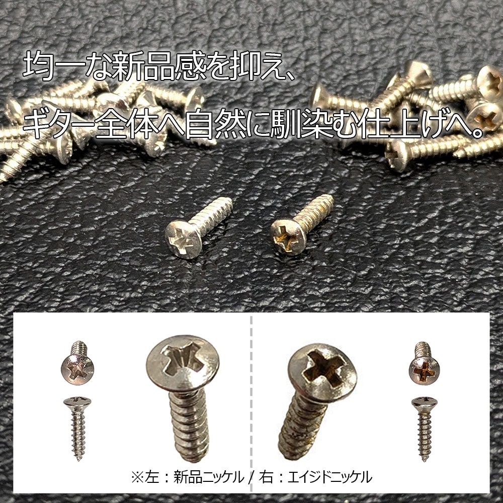【YJB Masterworks】 ピックガード用エイジドスクリュー ニッケル ミリ 3×12mm 12本 【メール便送料無料】