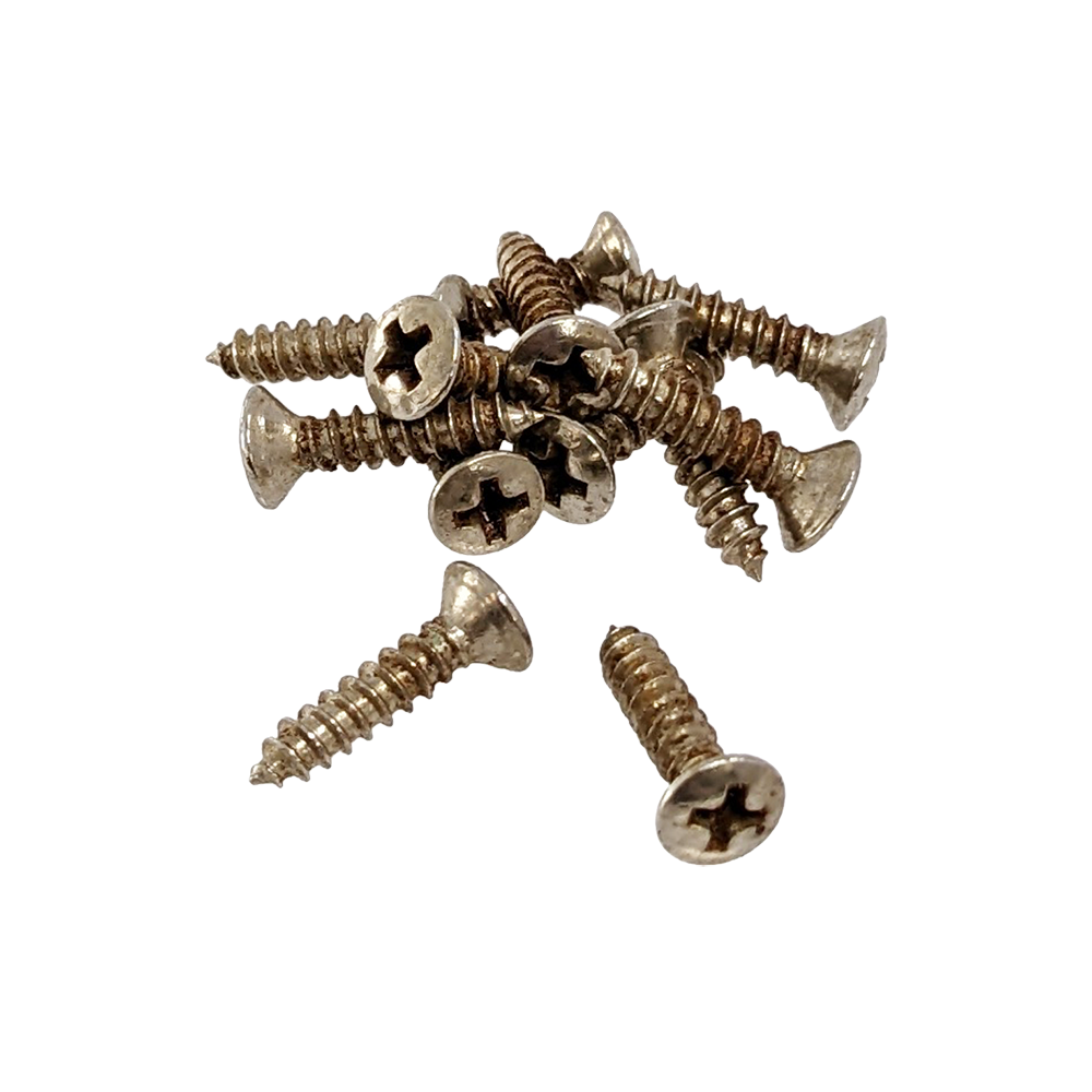 【YJB PARTS】 レリックスクリュー ピックガード用 インチサイズ 12本入り 【メール便対応】