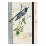 Punch Studio ���㡼�ʥ�Ρ��� ��Ļ��