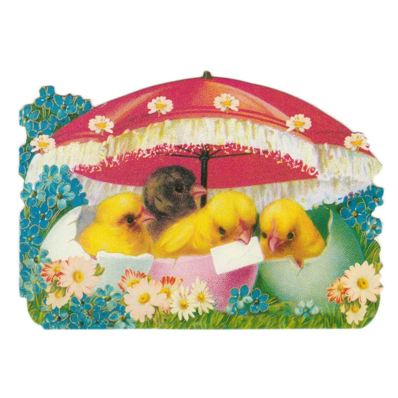 Punch Studio�ʥѥ������������ �ڥ����������� ���⡼�륰�꡼�ƥ��󥰥����� �ʤҤ褳�߻���