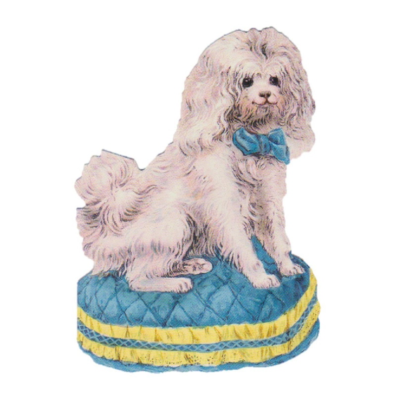 Punch Studio�ʥѥ������������ �ڥ��̡� ���⡼�륰�꡼�ƥ��󥰥����� ���򤤸���