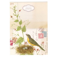 Fringe Studio（フリンジスタジオ） グリーティングカード BOXセット 【鳥】|カード|Fringe Studio フリンジスタジオ
