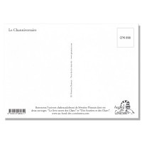 フランス製　ネコのポストカード 【Le Channiversaire】 D柄