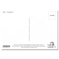 フランス製　ネコのポストカード 【Mai-Chapillon】
