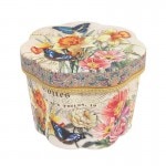 Punch Studio �ե롼�ȥܥå��� M������ �ʥ��������ĳ��