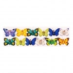 Michel & Company ��ȥ� ���ƥå��� | ������ (�֤�˷��ĳ)