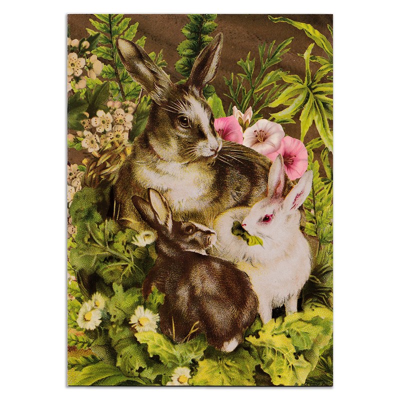 Punch Studioʥѥ ڥ ꡼ƥ󥰥 ʤӡ