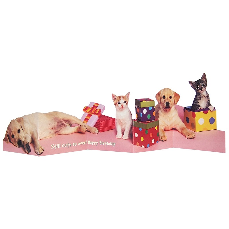 ポータル 【誕生日】 ジグザグ折り グリーティングカード （犬×猫）