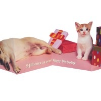 ポータル 【誕生日】 ジグザグ折り グリーティングカード （犬×猫）
