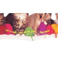 ポータル 【誕生日】 ジグザグ折り グリーティングカード （毛糸と猫）