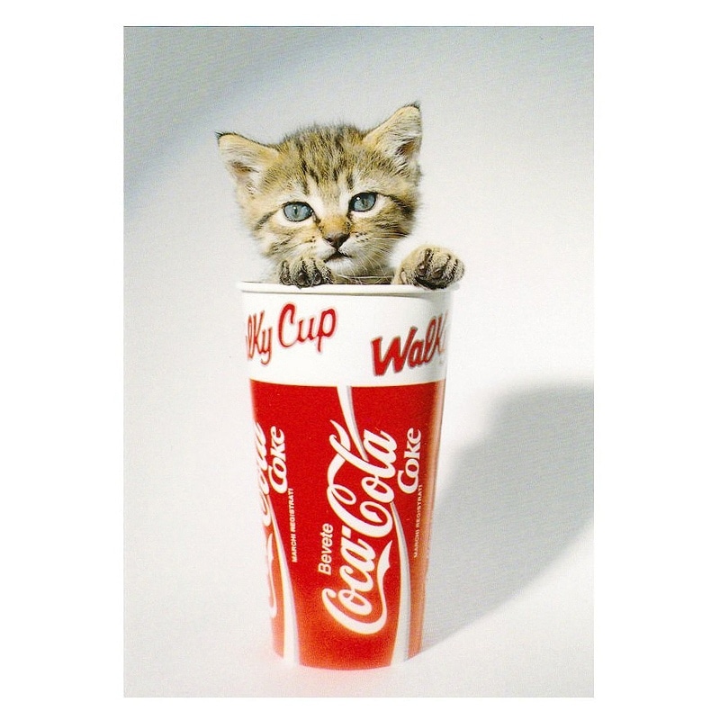 【30%OFF】ART UNLIMITED ポストカード 【猫×コーラ】
