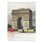 Punch Studio ���㡼�ʥ�Ρ��� �ޥ��ͥåȥե�å׼� �ڳ������