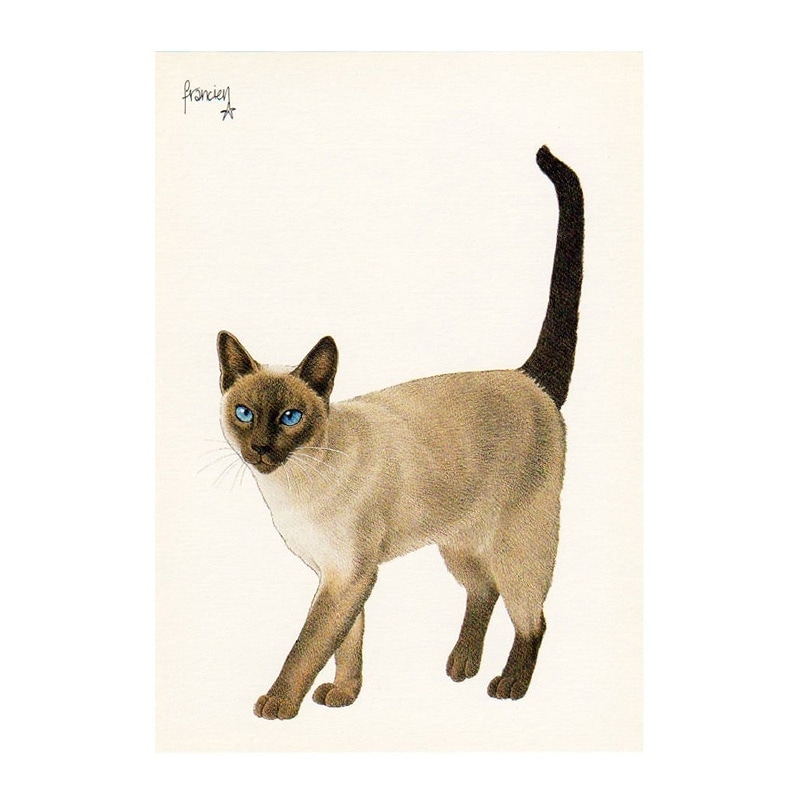ART UNLIMITED ポストカード 【シャム猫】