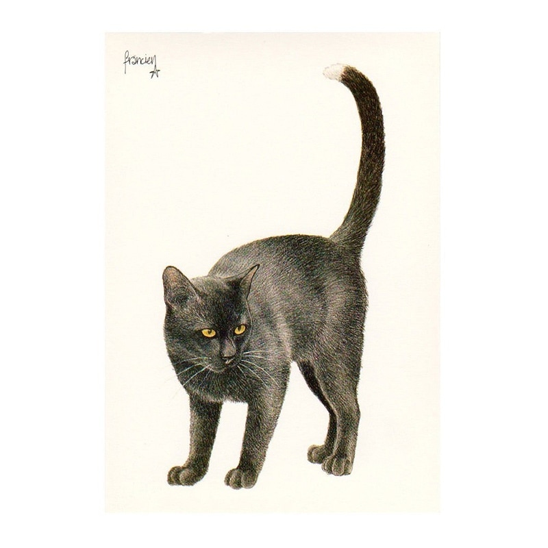 ART UNLIMITED ポストカード 【黒猫】