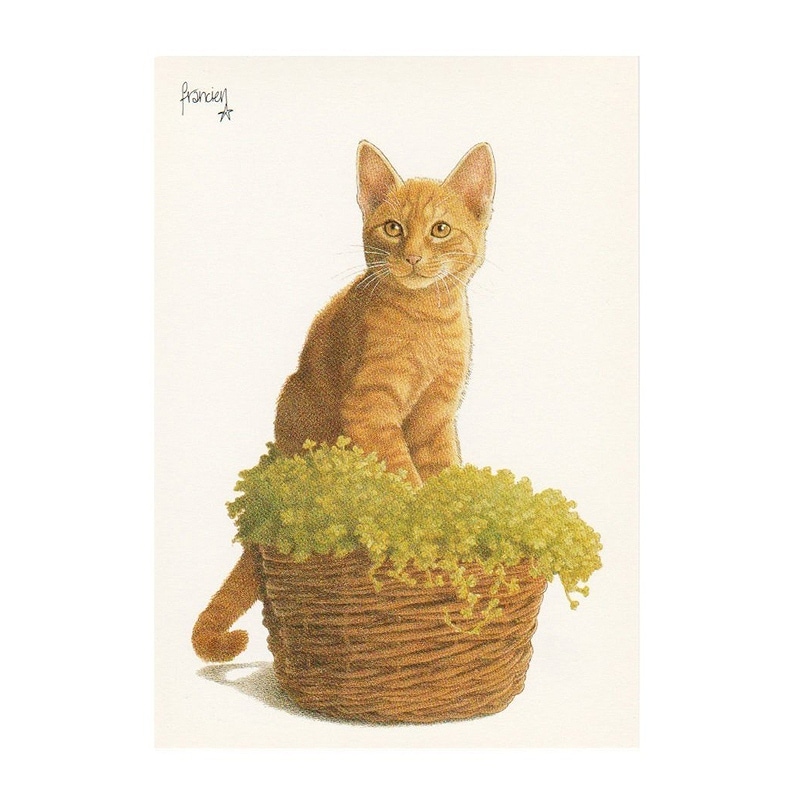 【30%OFF】ART UNLIMITED ポストカード 【猫×観葉植物】