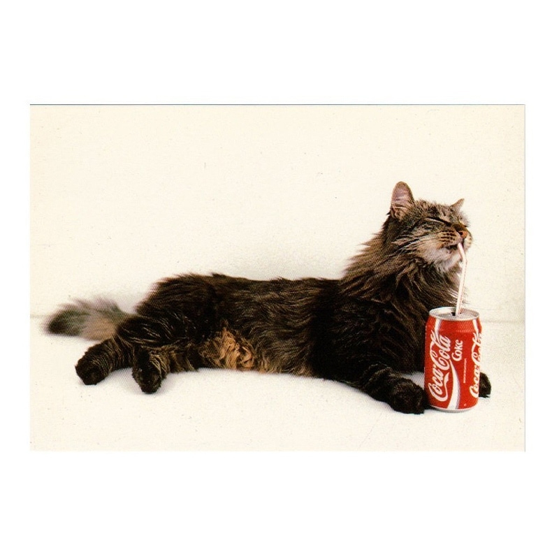 【30%OFF】ART UNLIMITED ポストカード 【猫×コーラ】