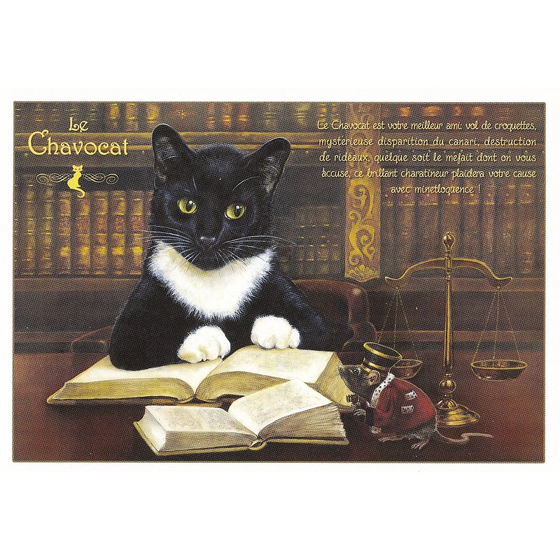 フランス製　ネコのポストカード 【Le Chavocat】