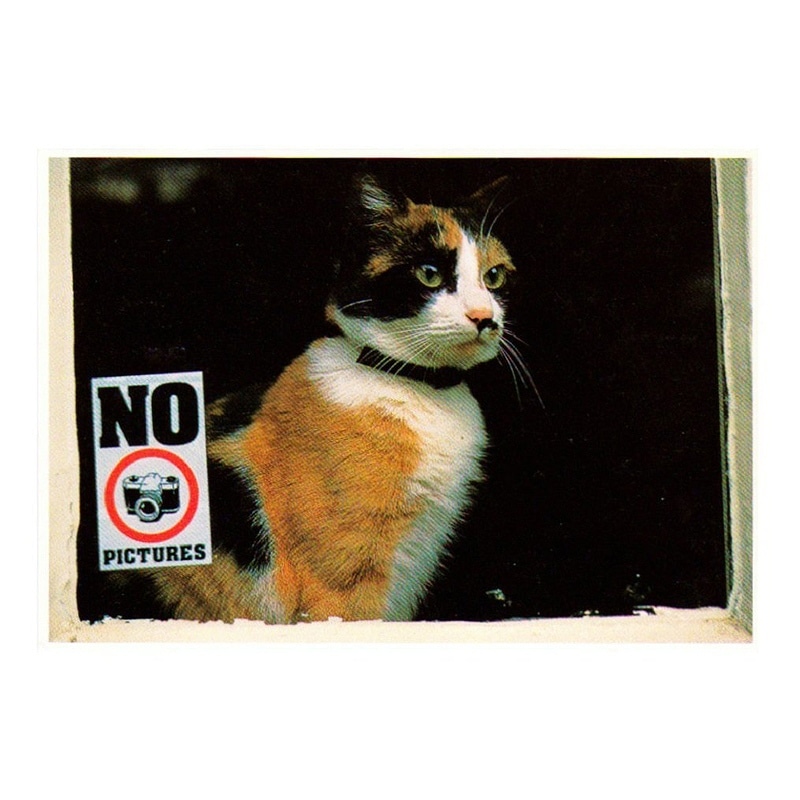 【30%OFF】ART UNLIMITED ポストカード 【猫×No pictures】