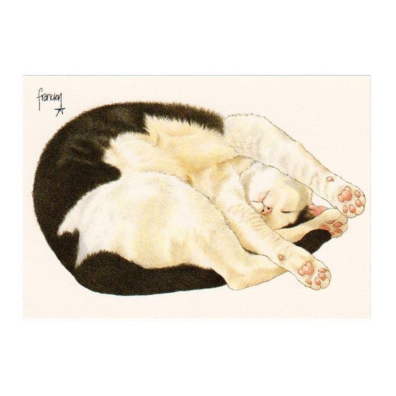 ART UNLIMITED ポストカード 【猫×うたた寝】