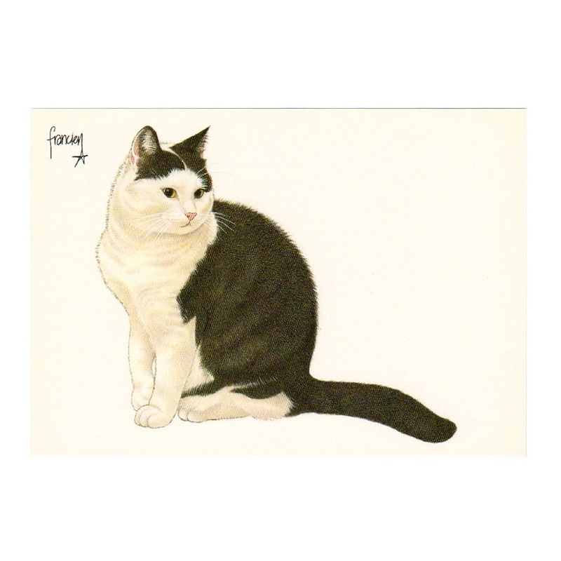ART UNLIMITED ポストカード 【白黒猫】
