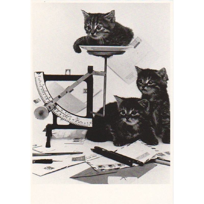 【30%OFF】ART UNLIMITED ポストカード 【子猫×はかり×手紙】