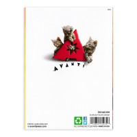 AVANTI PRESS 二つ折り ハロウィン グリーティングカード　（子猫たちと巨大カボチャ）|ハロウィンカード|ハロウィン雑貨