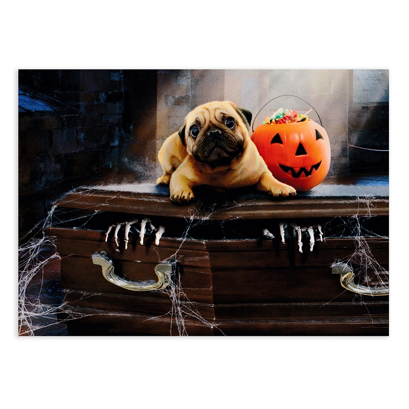 AVANTI PRESS 二つ折り ハロウィン グリーティングカード　（パグ×棺桶）