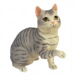 ����å� �ߥ˥��奢�������ǥ�ޥ����å� ���֥���/��ʪ �ڤ��¤ꡦ���ӡ���