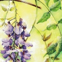 LARKSPUR GRAPHICS グリーティング ノートカード （藤の花）
