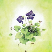 LARKSPUR GRAPHICS グリーティング ノートカード （ヴィオレット）|多目的|グリーティングカード
