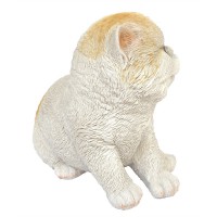 キャット ガーデンマスコット オブジェ/置物 【ベビーキャット×ペルシャ】|ガーデンオブジェ|ガーデン雑貨