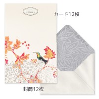 Fringe Studio（フリンジスタジオ） レターセット BOXセット （ハミングバード×ピンク）|カード|Fringe Studio フリンジスタジオ