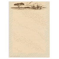 Paper Moon Graphics レターセット 便箋6枚 封筒3枚 （ゾウ×サバンナ）
