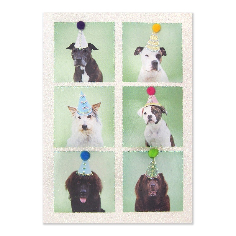 【35%OFF】 ポータル 二つ折り 【誕生祝い】 グリーティングカード　（帽子をかぶった犬たち）