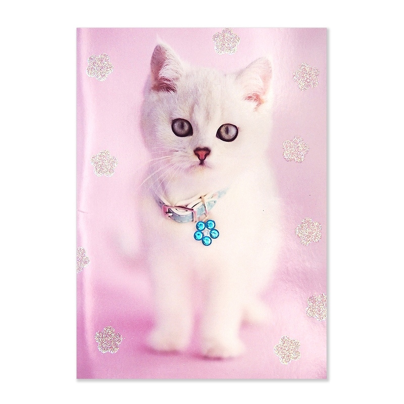 【35%OFF】 ポータル 二つ折り 【誕生祝い】 グリーティングカード　（こちらを見る白い猫）