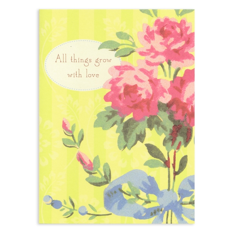 Madison Park ��������� ���꡼�ƥ��󥰥����� ���鯤Υ֡�����