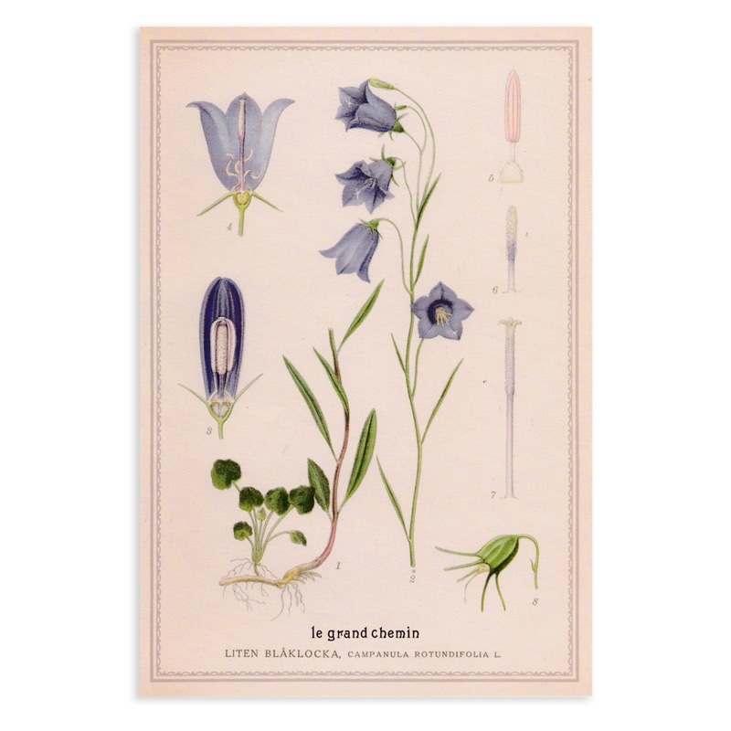 󥷥ޥ ݥȥ ܥ˥ NO.3 ȥ㥸 le grand chemin