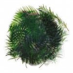 フレークシール セット スクラップ素材 （シダ植物×クリア） PET素材|フレークシール|ラッピング | 手芸用品