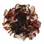 フレークシール セット スクラップ素材 （キノコ×クリア） PET素材