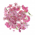 フレークシール セット スクラップ素材 （ピンクの花たち） PET素材