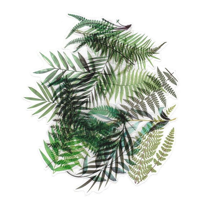 フレークシール セット スクラップ素材 (自然写真集シリーズ×シダ植物） PET素材