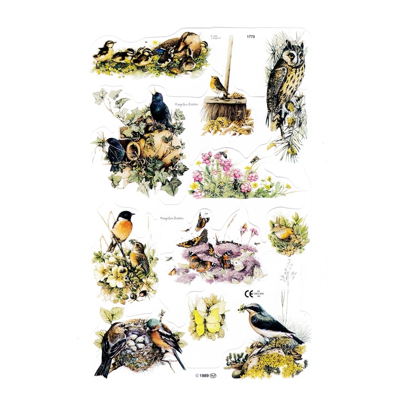 �����ꥹ�� �����⥹ ������åץ����� ���缫��������ʪ�������ѥ�����B��