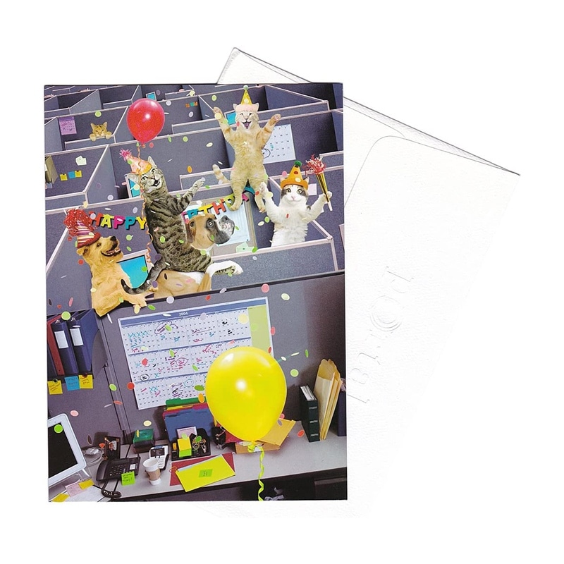 ��35%OFF�ۥݡ����� ���˥ޥ� ���꡼�ƥ��󥰥����� �����դ� Lund-Cube Party �������ˤ���