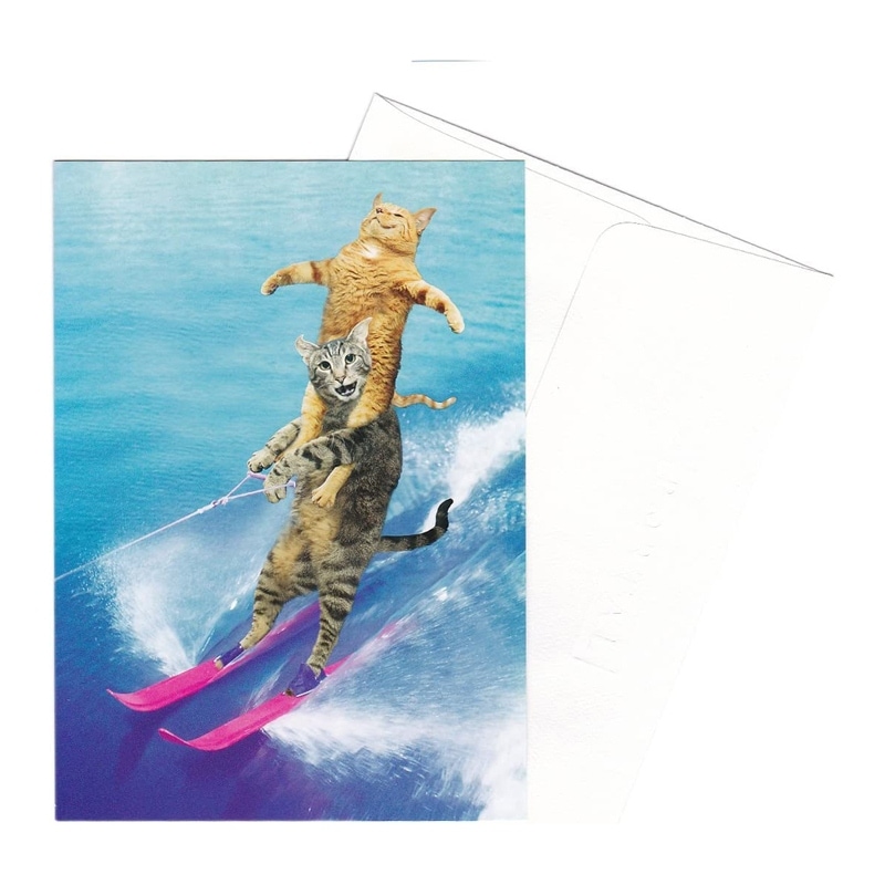 【35%OFF】ポータル アニマル グリーティングカード 封筒付き Lund-Wild Ride