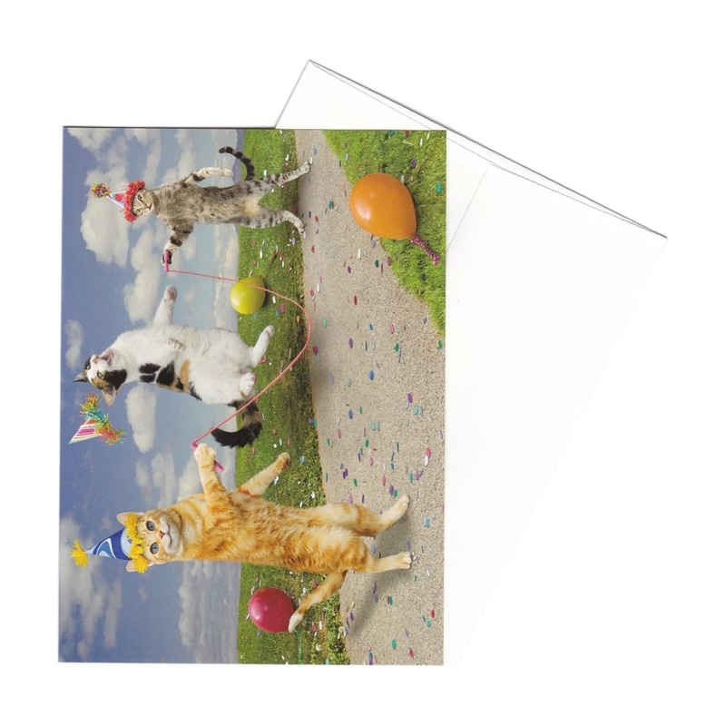 【35%OFF】ポータル アニマル グリーティングカード 封筒付き Lund-Cat Jump （誕生祝い）