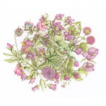 フレークシール セット スクラップ素材 一輪の花シリーズ （ピンク） PET素材