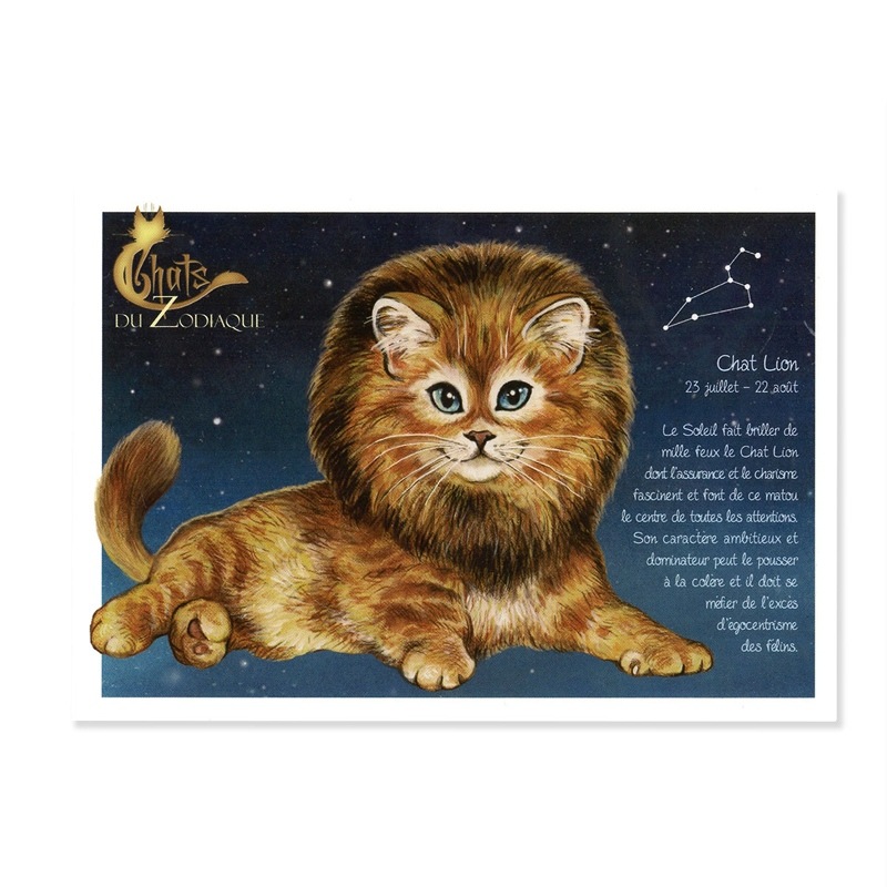 �ե�������ͥ��Υݥ��ȥ����ɡ�Chat Lion�� �������� ��Һ�