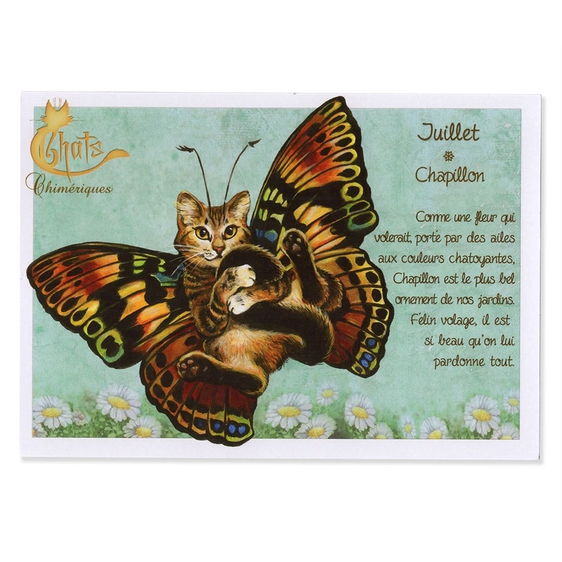 フランス製　ネコのポストカード（Juillet Chapillon） 7月 蝶