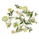 フレークシール セット スクラップ素材 Flowersシリーズ （ホワイト）箔押し PET素材